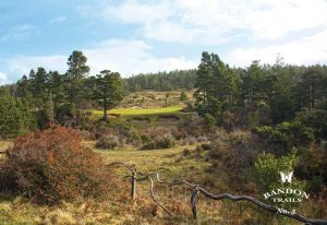 Bandon Trails - Hole 5