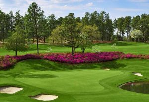 Pinehurst No.4