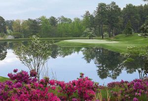 Pinehurst No.4