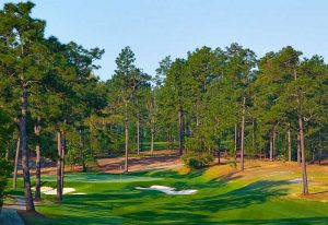 Pinehurst No.7