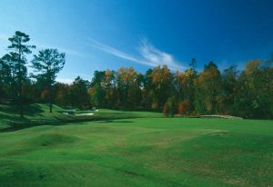 Pinehurst No.7