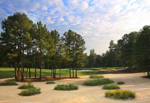 Pinehurst No.8