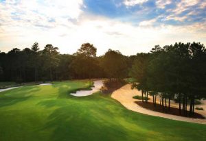 Pinehurst No.8