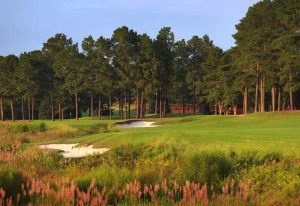 Pinehurst No.8