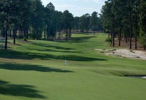 Pinehurst No.9